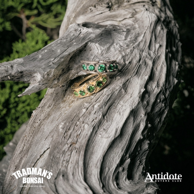 Engraved Matsuba Ring 【Antidote Buyers Club &times; TRADMAN'S BONSAI】 詳細画像